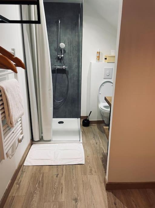 Bryas 3 - Appartement Tres Chaleureux Шатору Екстер'єр фото